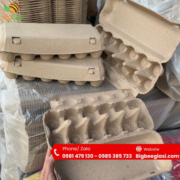 Hộp giấy đựng trứng 12 quả Hộp giấy đựng trứng 12 quả