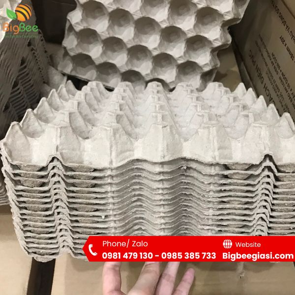 Khay giấy đựng trứng gà vịt 30 quả Khay giấy đựng trứng gà vịt 30 quả
