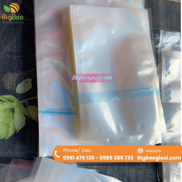 Túi nilon PE/PA dày dặn, nhiều kích cỡ Túi nilon PE/PA dày dặn, nhiều kích cỡ