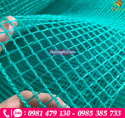 Hình ảnh lưới nhựa ô vuông Hình ảnh lưới nhựa ô vuông