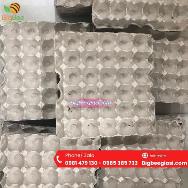 Khay giấy đựng trứng 30 quả Khay giấy đựng trứng 30 quả