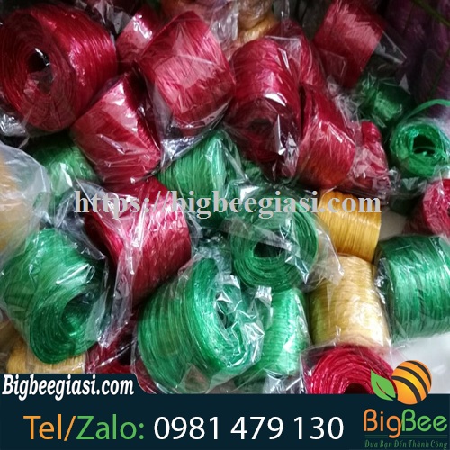 dây nilon buốc hàng 600g dây nilon buộc hàng 600g