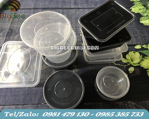 các loại hộp nhựa đựng thực phẩm chất lượng các loại hộp nhựa đựng thực phẩm chất lượng