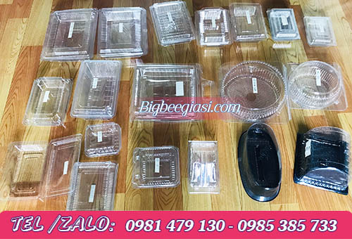 Một số mẫu hộp nhựa trong tai công ty Thu Hồng