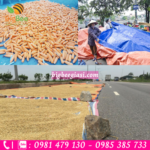 Ứng dụng bạt nhựa pvc