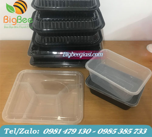 các mẫu hộp nhựa chữ nhật đựng thực phẩm