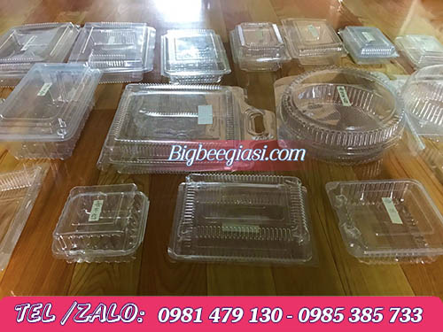 Các loại hộp nhựa trong đựng bánh