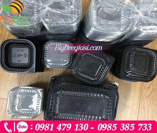 Các loại khay nhựa đế đen nắp trong