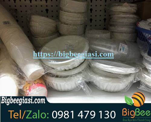 chén nhựa dùng 1 lần chén nhựa dùng 1 lần
