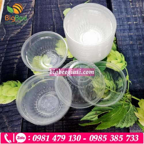 Chén nhựa pp trong suốt sỉ rẻ