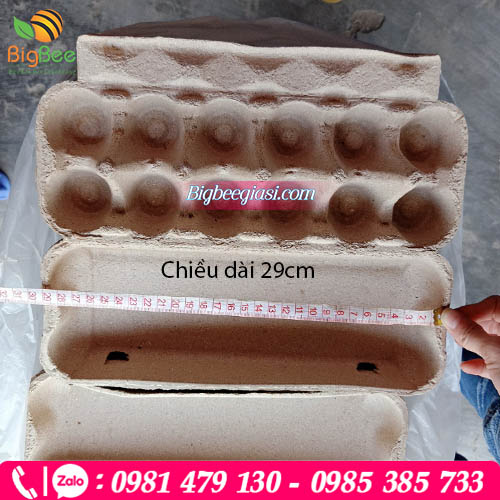 Hộp giấy đựng trứng dài 29cm Hộp giấy đựng trứng dài 29cm