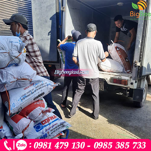 Thu Hồng - cơ sở cung cấp các mẫu túi đựng ly nhựa giá rẻ nhất cho các cửa hàng Thu Hồng - cơ sở cung cấp các mẫu túi đựng ly nhựa giá rẻ nhất