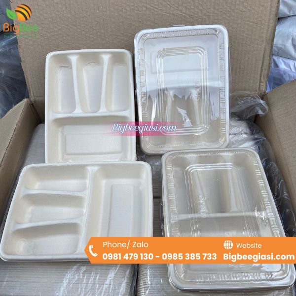 Thu Hồng- Địa chỉ cung cấp khay - hộp bã mía uy tín, chất lượng tại HCM Thu Hồng- Địa chỉ cung cấp khay - hộp bã mía uy tín, chất lượng tại HCM