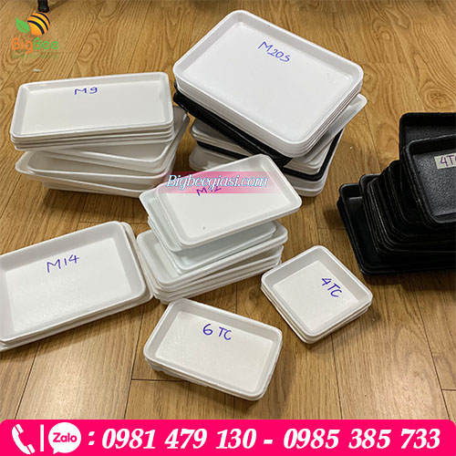 Đáp ứng đa dạng kích thước kiểu dáng khay xốp cho quý khách hàng Đáp ứng đa dạng kích thước kiểu dáng khay xốp cho quý khách hàng