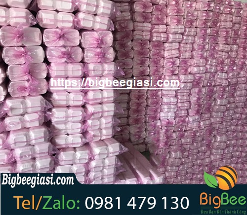 hộp xốp đựng cơm giá sỉ hộp xốp đựng cơm giá sỉ