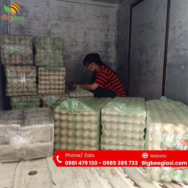 Khay giấy đựng trứng gà vịt có độ dai và độ bền nhất định Khay giấy đựng trứng gà vịt có độ dai và độ bền nhất định