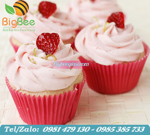 Cup giấy lót bánh