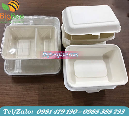 đa dạng các loại hộp bã mía đựng cơm