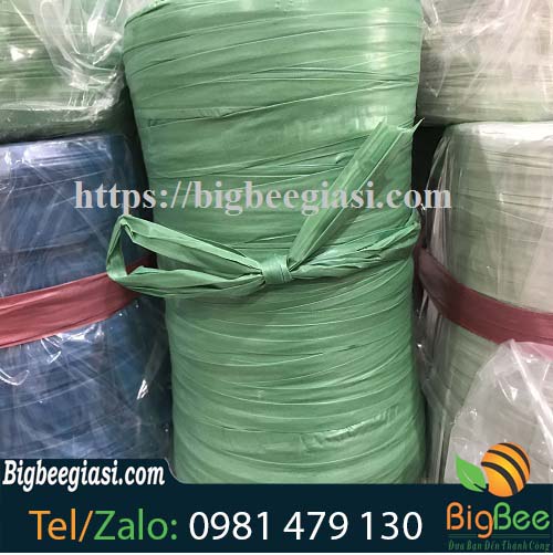 dây nilon 1 kg màu xanh