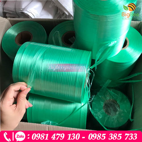 Dây nilon cột máy thùng 12 cuộn Dây nilon cột máy thùng 12 cuộn