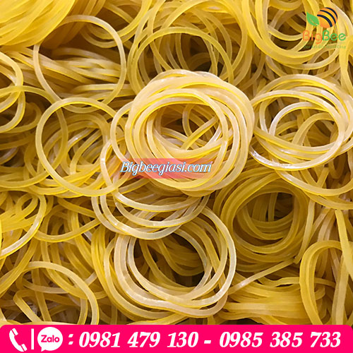 Dây thun khoanh Bigbee giá rẻ chất lượng Dây thun khoanh Bigbee giá rẻ chất lượng