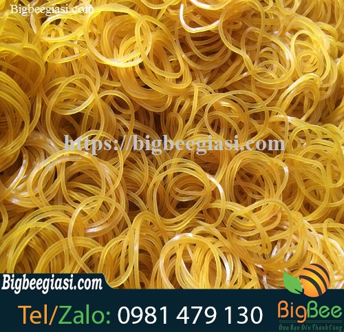 dây thun khoanh size trung