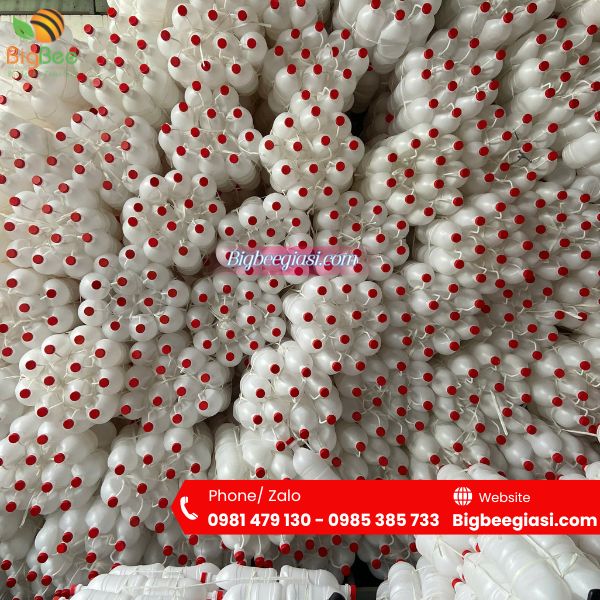 Thu Hồng - Địa chỉ cung cấp can nhựa 1L, 2L, 3L, 5L, 6L, 10L, 20L Thu Hồng - Địa chỉ cung cấp can nhựa 1L, 2L, 3L, 5L, 6L, 10L, 20L