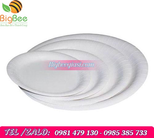 đĩa làm từ giấy