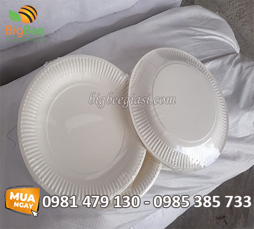 Dĩa giấy đựng thức ăn màu trắng