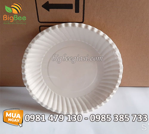 Dĩa giấy size nhỏ đựng trái cây