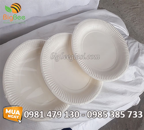 Dĩa giấy sạch cao cấp