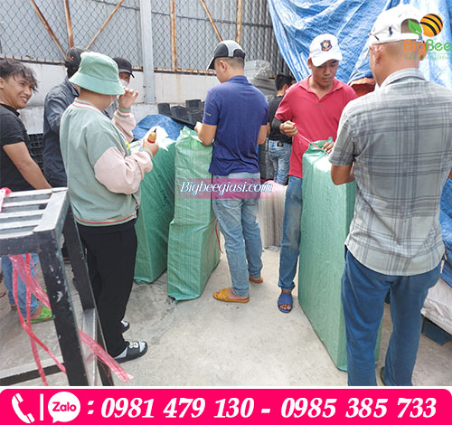 Qúa trình đóng hàng vỉ nhựa đựng trứng trước khi giao cho khách Qúa trình đóng hàng vỉ nhựa đựng trứng trước khi giao cho khách