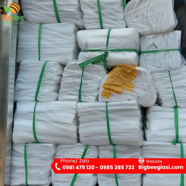 Bao bì PE đóng gói 10Kg/ bịch, tiện lợi khi giao hàng Bao bì PE đóng gói 10Kg/ bịch, tiện lợi khi giao hàng