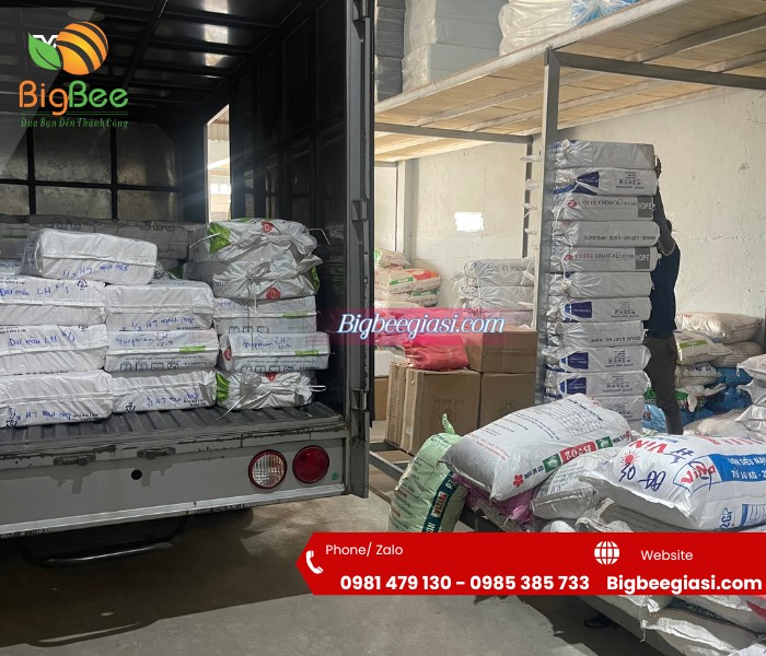 Địa chỉ cung cấp túi đựng rác giá rẻ để phân phối lại Địa chỉ cung cấp túi đựng rác giá rẻ để phân phối lại