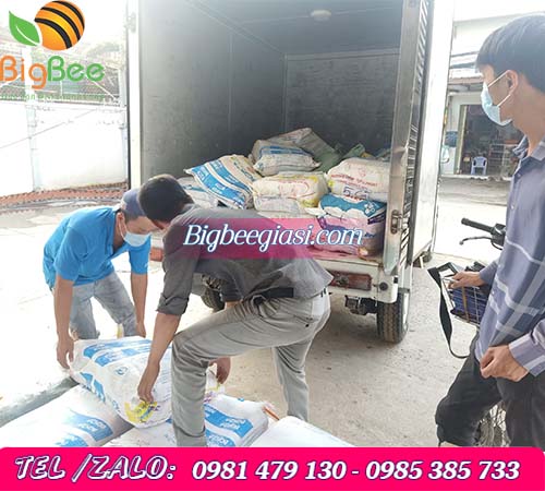 Công ty Thu Hồng hỗ trợ giao hàng tận nơi, đúng hẹn Công ty Thu Hồng hỗ trợ giao hàng tận nơi, đúng hẹn