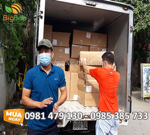 Giao khay nhựa đế đen cho khách