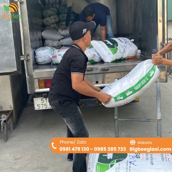 Thu Hồng cung cấp túi PA/PE giá rẻ tận xưởng Thu Hồng cung cấp túi PA/PE giá rẻ tận xưởng