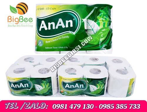 Giấy vệ sinh an an