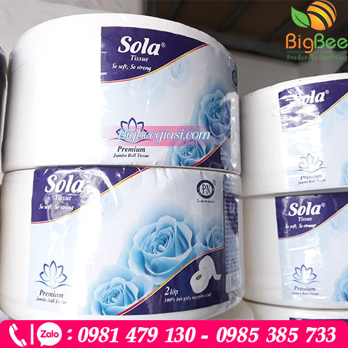 Giấy vệ sinh sola cuộn lớn