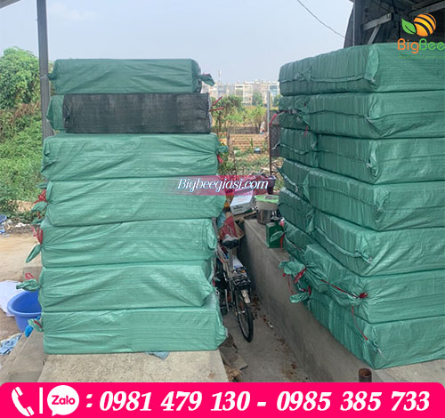 20.000 cái vỉ trứng gà vịt ấn nút 10 quả đã được giao tận nơi cho khách 20.000 cái vỉ trứng gà vịt ấn nút 10 quả đã được giao tận nơi cho khách