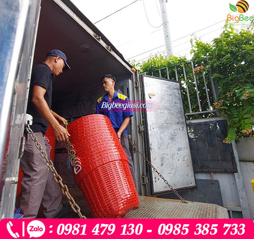 Thu Hồng chuyên cung cấp cần xé nhựa giá rẻ, giao hàng tận nơi Thu Hồng chuyên cung cấp cần xé nhựa giá rẻ, giao hàng tận nơi