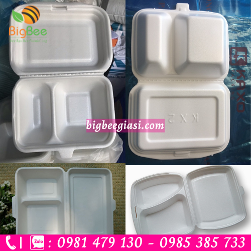 Hộp xốp 2 ngăn mẫu mã đẹp