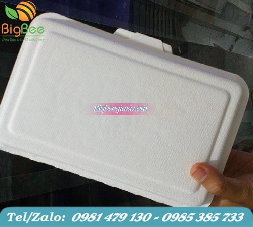 hộp bã mía đựng cơm 1 ngăn 700ml