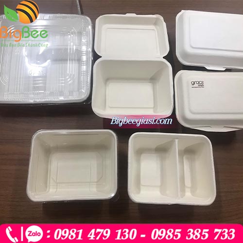 Đa dạng các loại hộp đựng bã mía