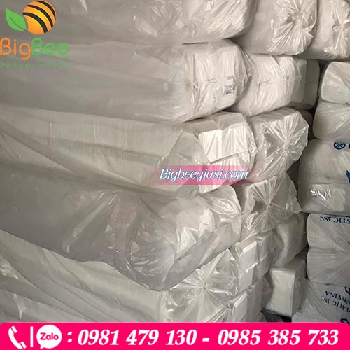 Thu Hồng cung cấp hộp bã mía giá rẻ