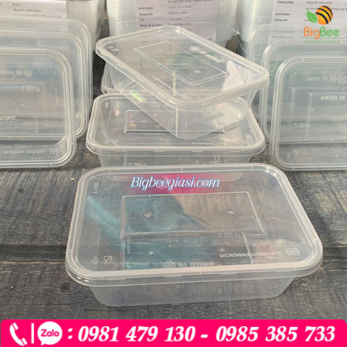 Hộp nhựa trong đựng thực phẩm an toàn tiện lợi Hộp nhựa trong đựng thực phẩm an toàn tiện lợi