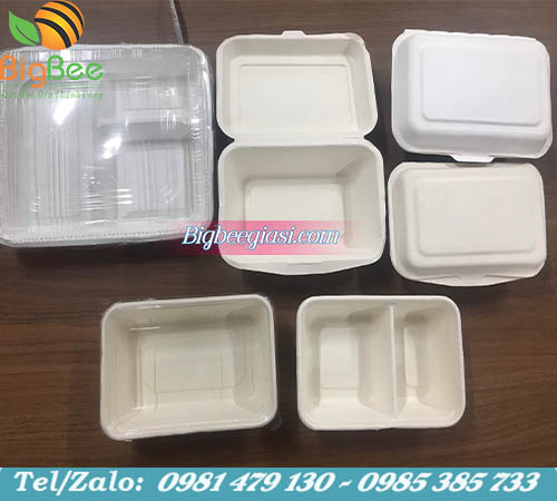 hộp cơm làm từ bã mía