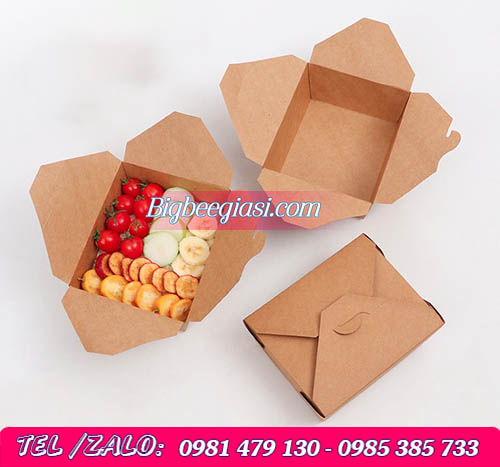 hộp giấy kraft nắp gài