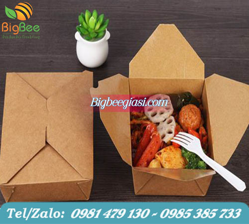 hộp giấy nắp cài đựng thức ăn mang về