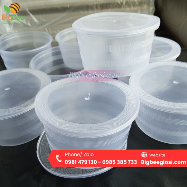 Hộp nhựa 500ml vân sọc có nắp Hộp nhựa 500ml vân sọc có nắp